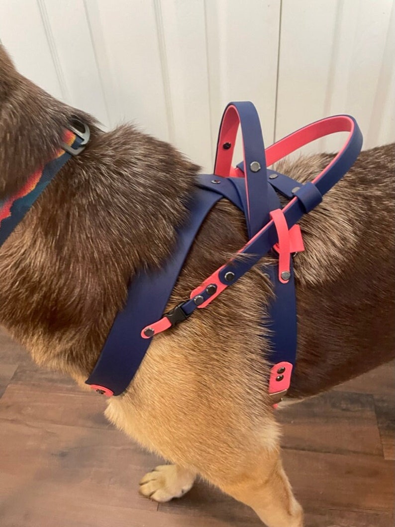 Biothane Working Dog Harness Etsy