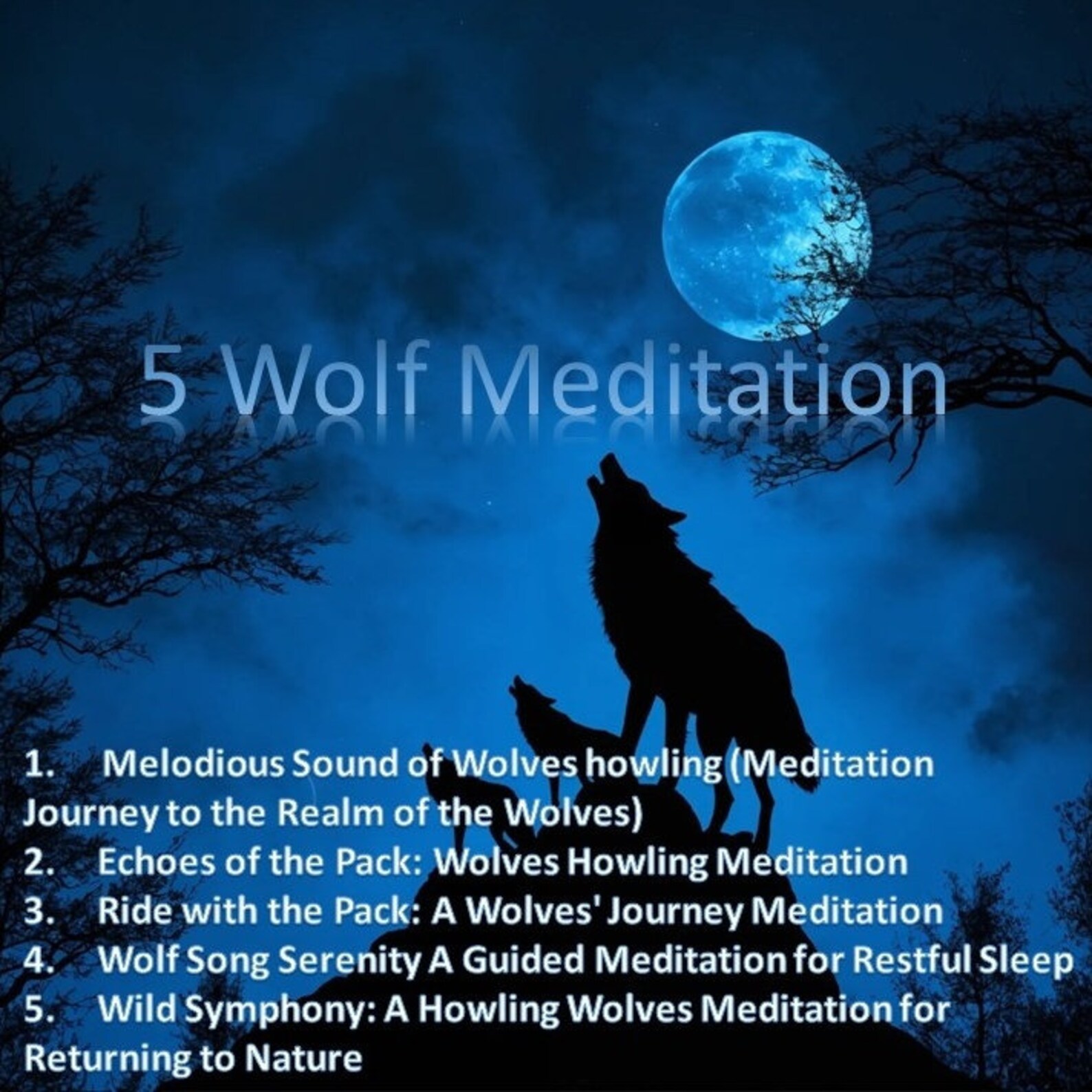 Wolf Meditation 5 Meditation Unleash Your Inner Wolf With 5 Wolf