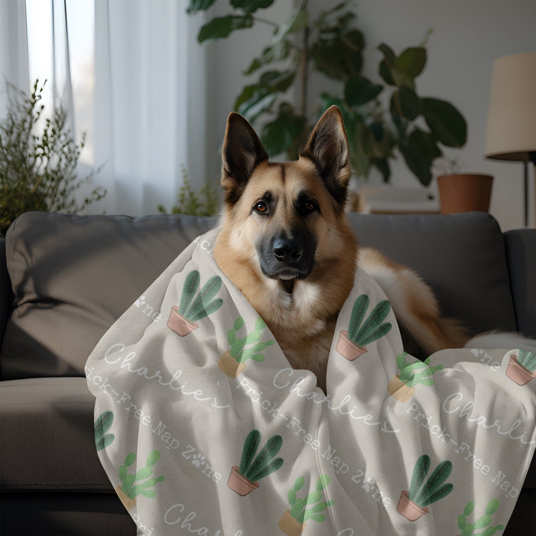 Funny Custom Dog Crate Blanket Personalized Dog Name on Custom Dog