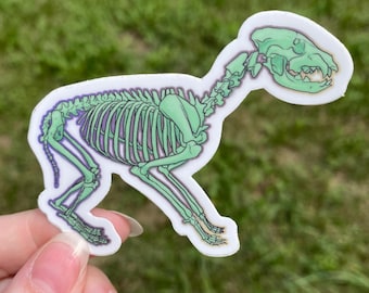 May include: A die-cut sticker featuring a light green skeletal illustration of a four-legged animal. The skeleton is depicted in profile, showing the skull, rib cage, spine, and limbs with dark purple outlines against a white border background.