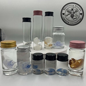 Wet Jellyfish Specimen with Jar, Beautiful Small Jellyfish, Jellyfish wet specimen in Low Concentration Formalin Immersion Solution