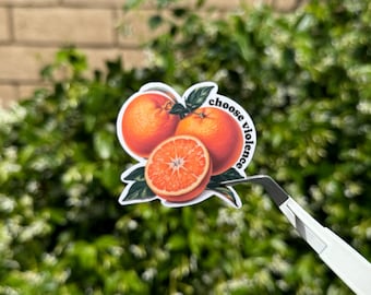 Choose violence, bookish sticker, inspired by fourth wing, violet sorrengail, jack barlowe, fantasy sticker, oranges