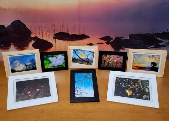 Wee vee's photo framed prints