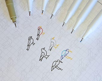 Hojas de práctica de dibujo de pájaros, aprenda a dibujar pájaros, plantillas de pájaros, trazo y coloreado, hojas de trabajo de arte imprimibles digitales