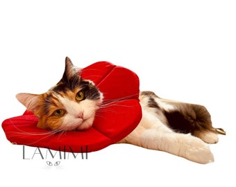 Recovery soft collar for cats