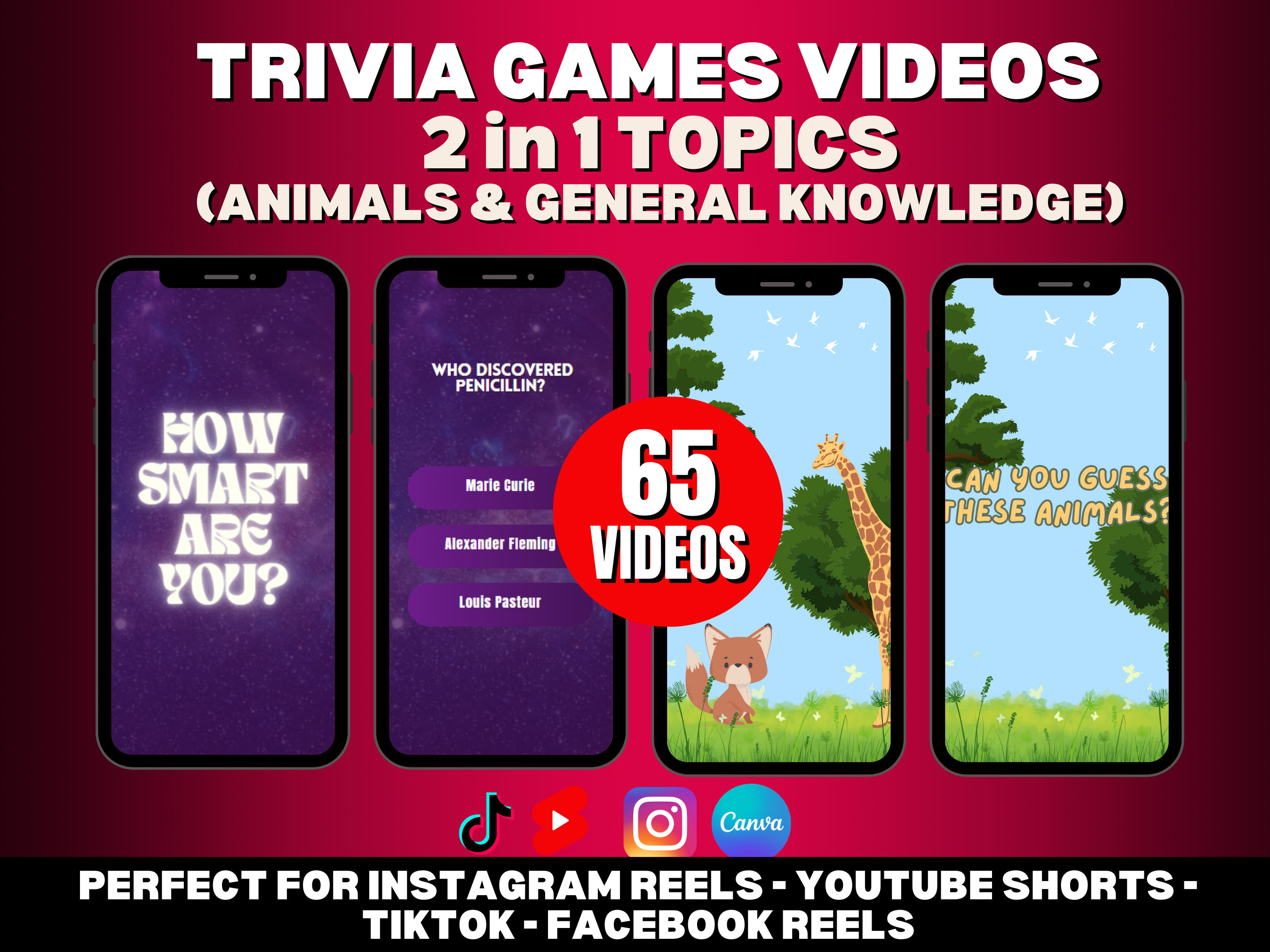 Trivia Intro Video Trivia Quiz Video Bundle: Animals & General Knowledge (canva Template ...