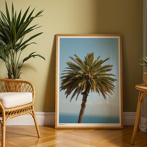 Palm Tree Postcard Tunisia Decor Wall Art Decor, Real Life Photography Print Poster, Bedroom, Living Room, Kitchen, Office Gift