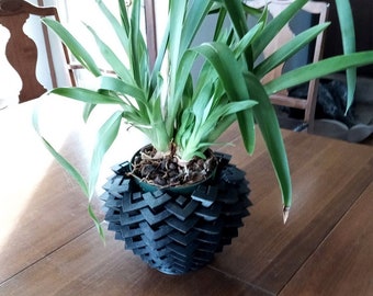 May include: A green plant with long, thin leaves growing in a black, geometric planter. The planter is made of a 3D printed material and has a unique, textured design.