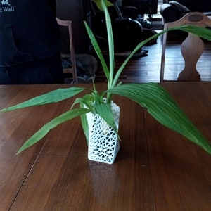 Orchidee eckiger Übertopf