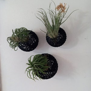 以下が含まれることがあります： 3つの黒いマクラメ製の植物ハンガーにエアプラントが入っています。ハンガーは丸型で、繊細で複雑なデザインです。