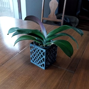 Orchid Square planter with diamond pattern