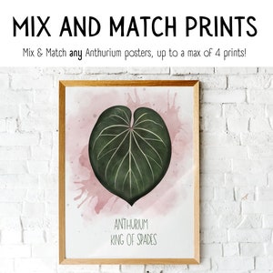 Anthurium Illustrated Poster Set of 1 to 4 | Plant Poster | Watercolor | Anthurium Poster | Anthurium Art | Plant Art | Botanical Wall Art