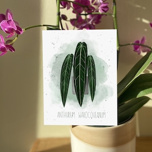 Biglietto illustrato Anthurium Warocqueanum / Biglietto d'auguri per piante / Stampa acquerello / Interno vuoto