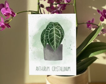 Anthurium Crystallinum Illustrated Card | Plant Greeting Card | Watercolor Print | Blank Inside