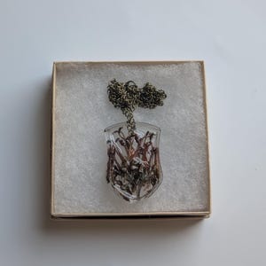 May include: A shield-shaped clear resin pendant containing dried brown and dark red plant matter, suspended from a dark metallic chain. The necklace is presented inside a square box lined with white foam padding for secure storage and display.