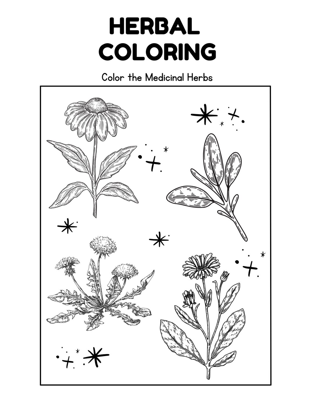 Children s Herbal Coloring Page Etsy