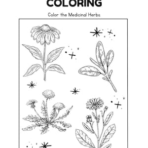 May include: Black and white line drawing of four medicinal herbs: echinacea, sage, dandelion, and calendula. The image is titled "Herbal Coloring: Color the Medicinal Herbs".