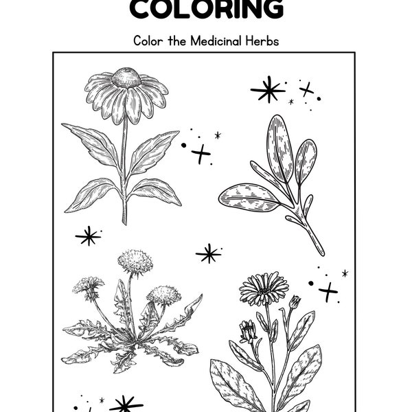 Children's Herbal Coloring Page
