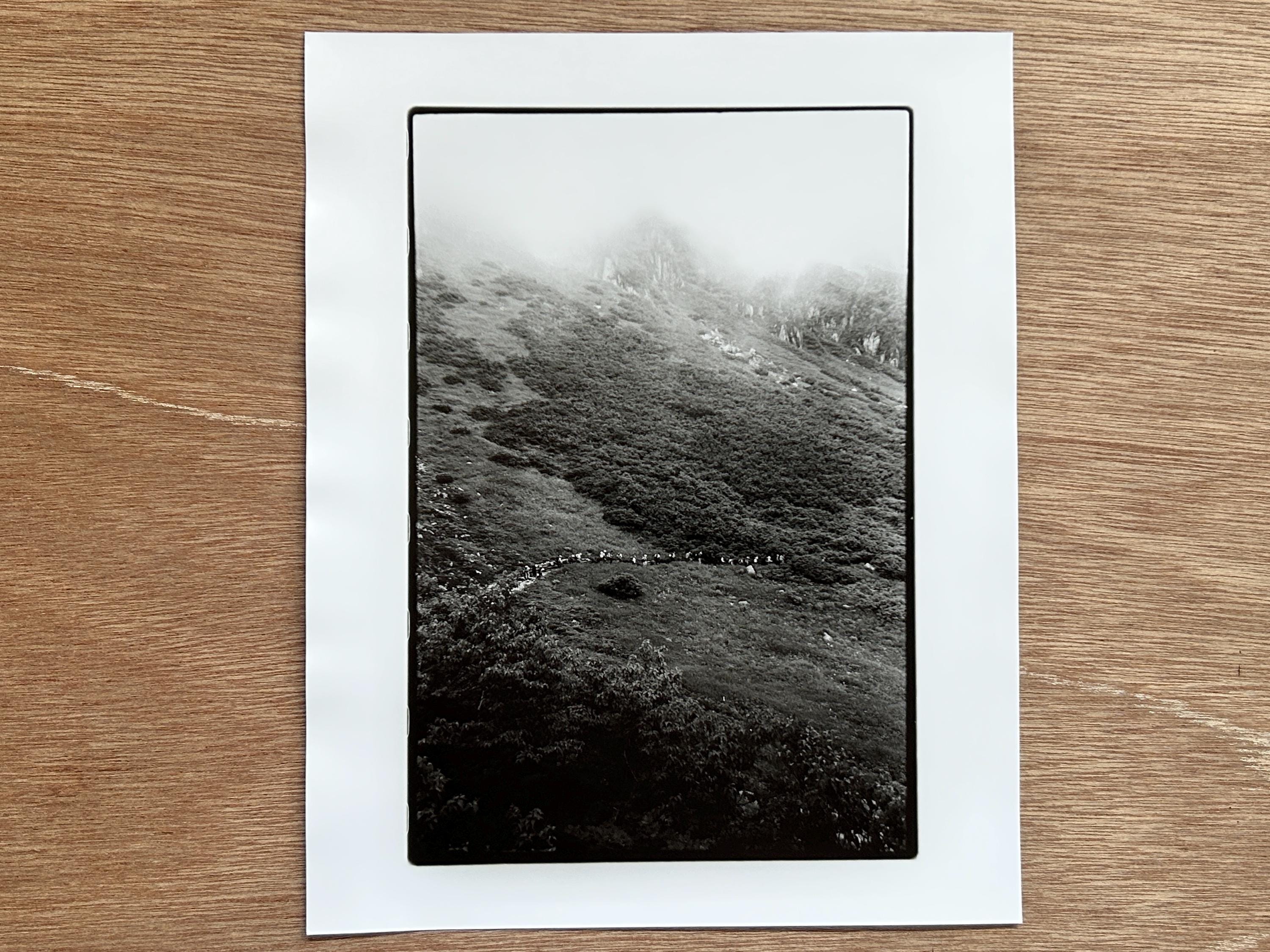 Gelatin silver print - Etsy 日本