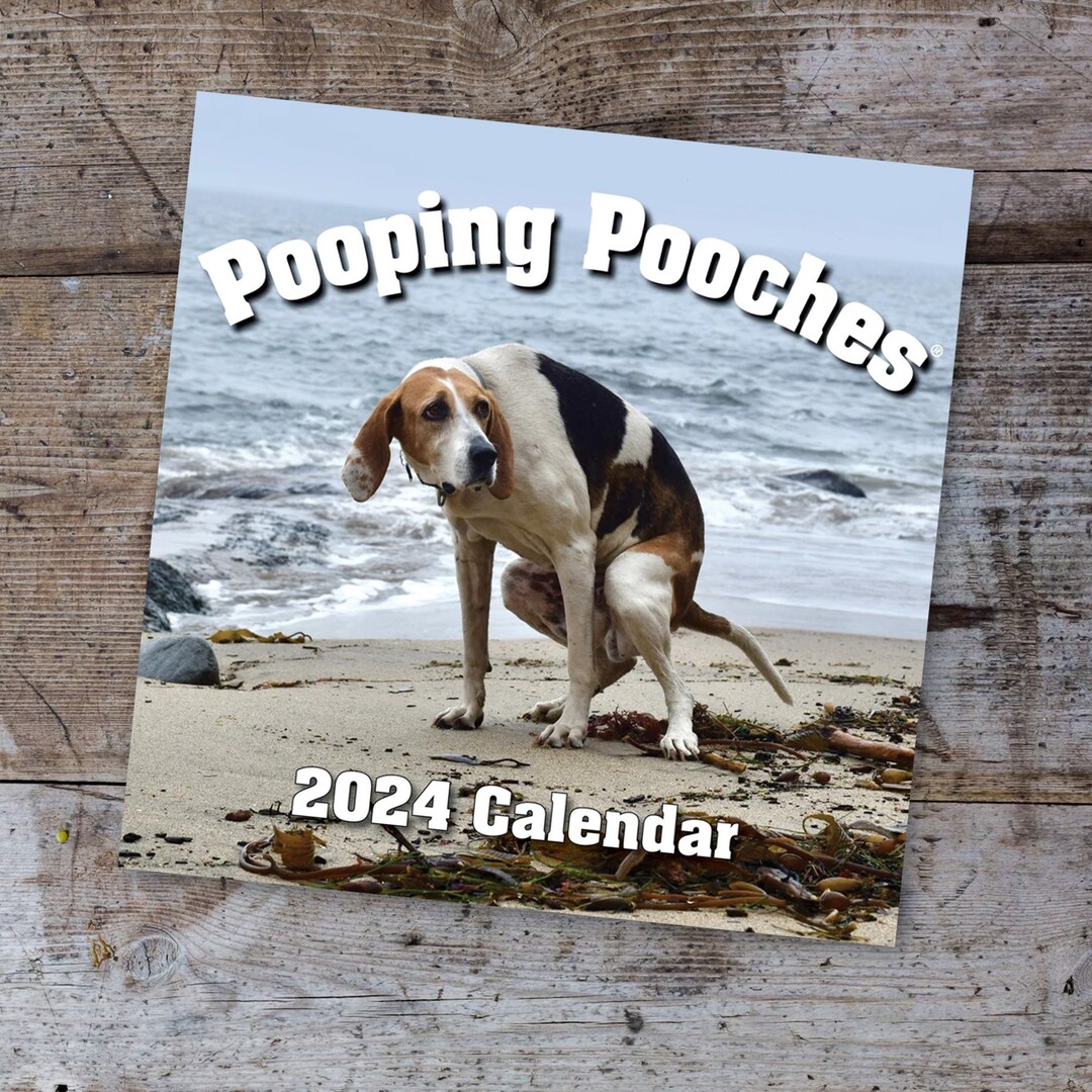 2024 Pooping Pooches Dog Calendar White Elephant Gag Gift Etsy