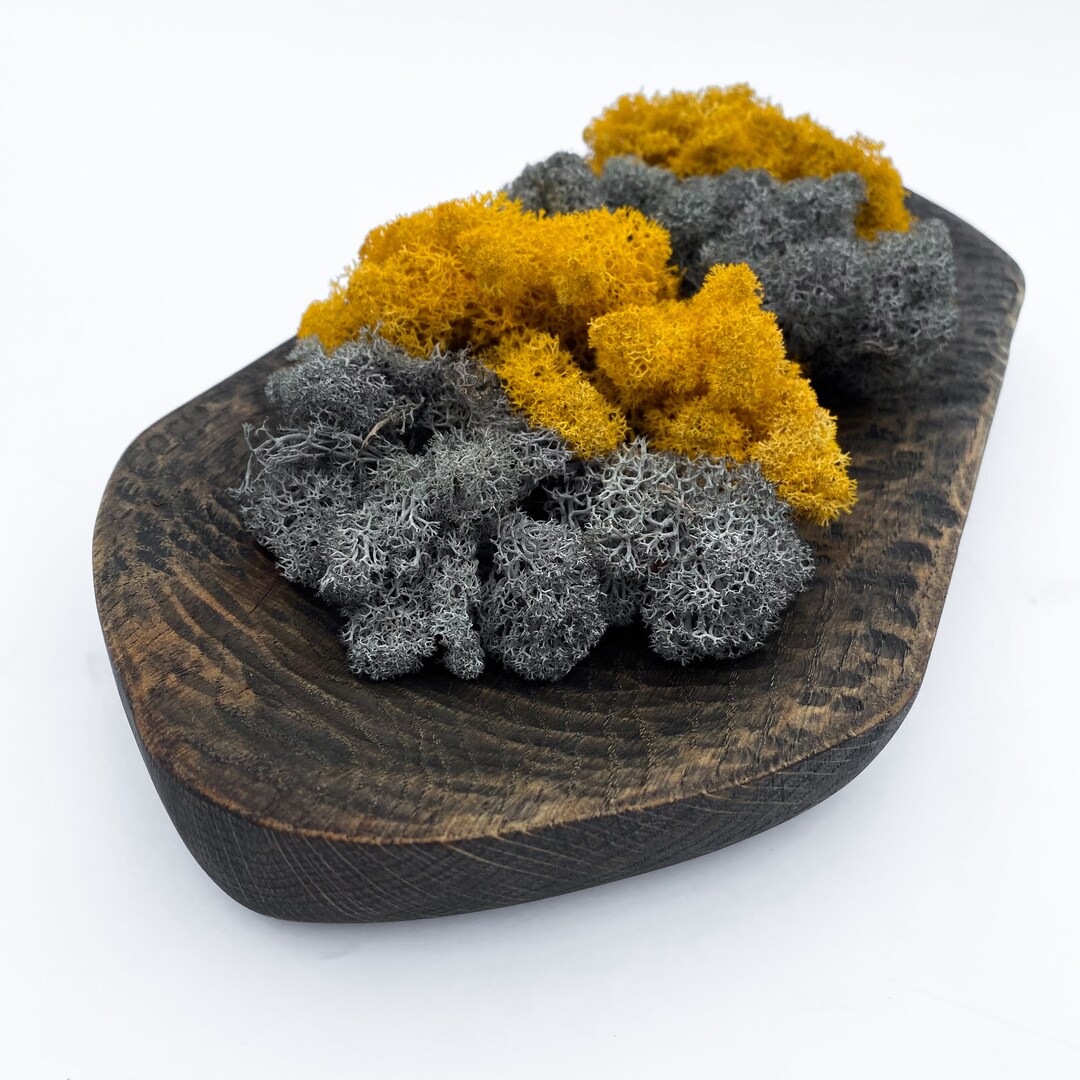 Wooden Long Bowl, Oval Wood Bowl, Black Wooden Bowl, Bowl Centrepieces