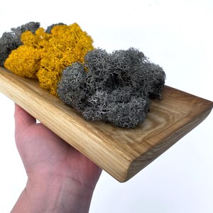 Puede incluir: Una bandeja de madera con un acabado marrón claro contiene dos grupos de musgo preservado. Un grupo es de un amarillo vibrante, y el otro es de un gris apagado.