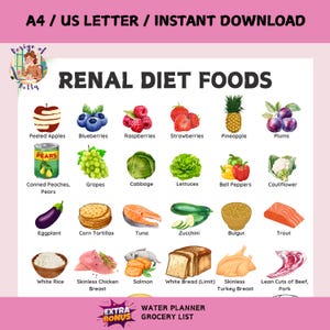 Renal Diet PDF, Healthy Renal Diet Food List, Printable PDF, CKD Diet Poster, Best Foods to Eat, Helps You Plan Meals and Menus