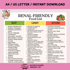 Renal Diet PDF, Healthy Renal Diet Food List, Printable PDF, CKD Diet Poster, Best Foods to Eat, Helps You Plan Meals and Menus
