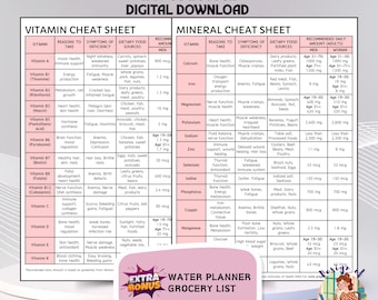 Vitamins and Minerals Guide, Essential Nutrients Chart, Healthy Diet Reference, Patient Education Worksheet, Dietitian