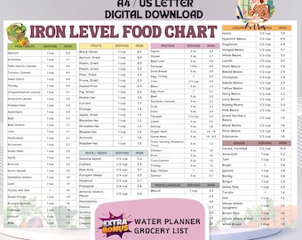 May include: An A4/US Letter digital download iron level food chart. The chart lists vegetables, fruits, protein, nuts, seeds, grains, and miscellaneous foods with their iron content per serving. Includes a bonus water planner and grocery list.
