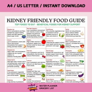 Kidney friendly Food Guide/ 4-page pdf PRINTABLE DOWNLOAD/ Patient education, Nutrition, Which Foods to Eat and Avoid, Kidney disease, Renal