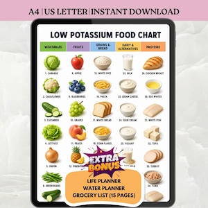 Pode incluir: Tabela digital de alimentos com baixo teor de potássio exibida num tablet. A tabela categoriza os alimentos em vegetais, frutas, grãos, laticínios e proteínas, com ilustrações. Inclui texto: "EXTRA BONUS" e "LIFE PLANNER WATER PLANNER GROCERY LIST (15 PAGES)".