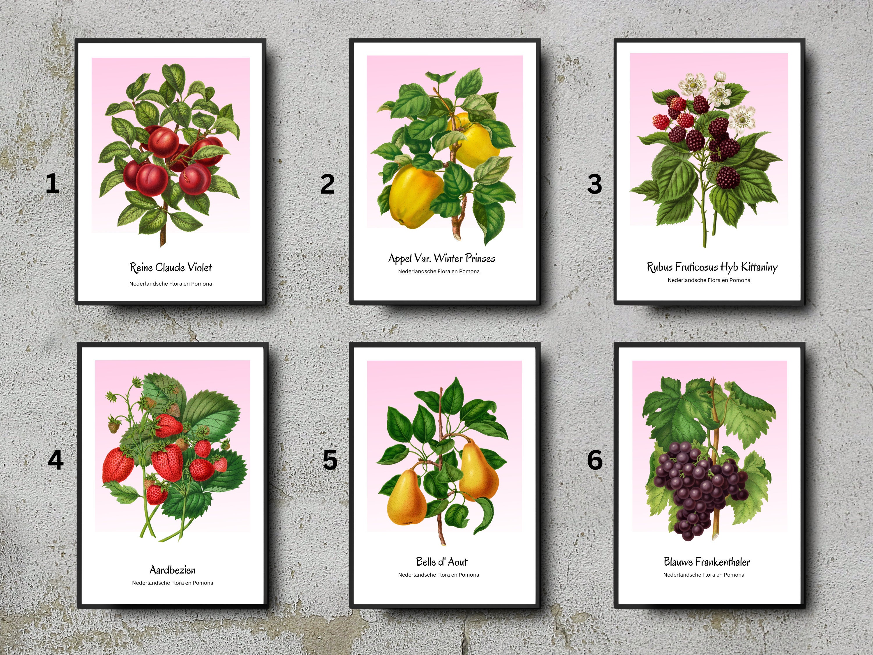 Vintage Fruit Illustrations Set of 6 Prints, Strawberry, Plums, Blackberries, Pears, Apples, Grapes, Kitchen Wall Art, Home Décor Art Gift