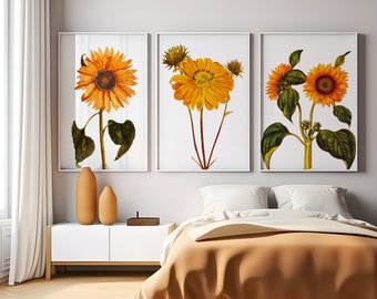 Set of 3 Sunflower Prints Wall Decor Flower Art Prints Beautiful Big Sunflower Picture Room Art Kitchen Vintage Flower Yellow Wall Art Print