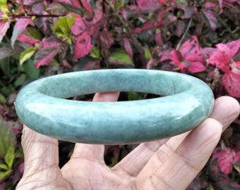 May include: A light green jade bangle. The smooth, polished bracelet is a solid colour with slight variations in tone. The bracelet is held in a hand, with a background of green and pink foliage.