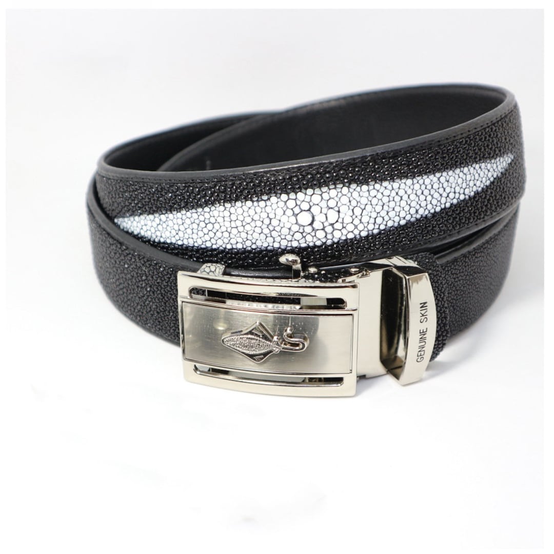 Genuine Stingray Leather Belt: Black, Stainless Steel Buckle  display picture 1