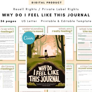PLR / Resell Why Do I Feel Like This Journal Printable and Editable Template, Feelings Journal, Understanding What I Feel Journal, Emotions