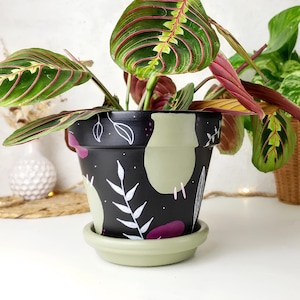 Peut inclure: Une plante Maranta dans un pot en céramique noir peint à la main avec une soucoupe assortie. Le pot présente un motif de feuilles blanches, de formes vert clair et d'accents violets. La plante a de grandes feuilles vertes avec des veines rouges.