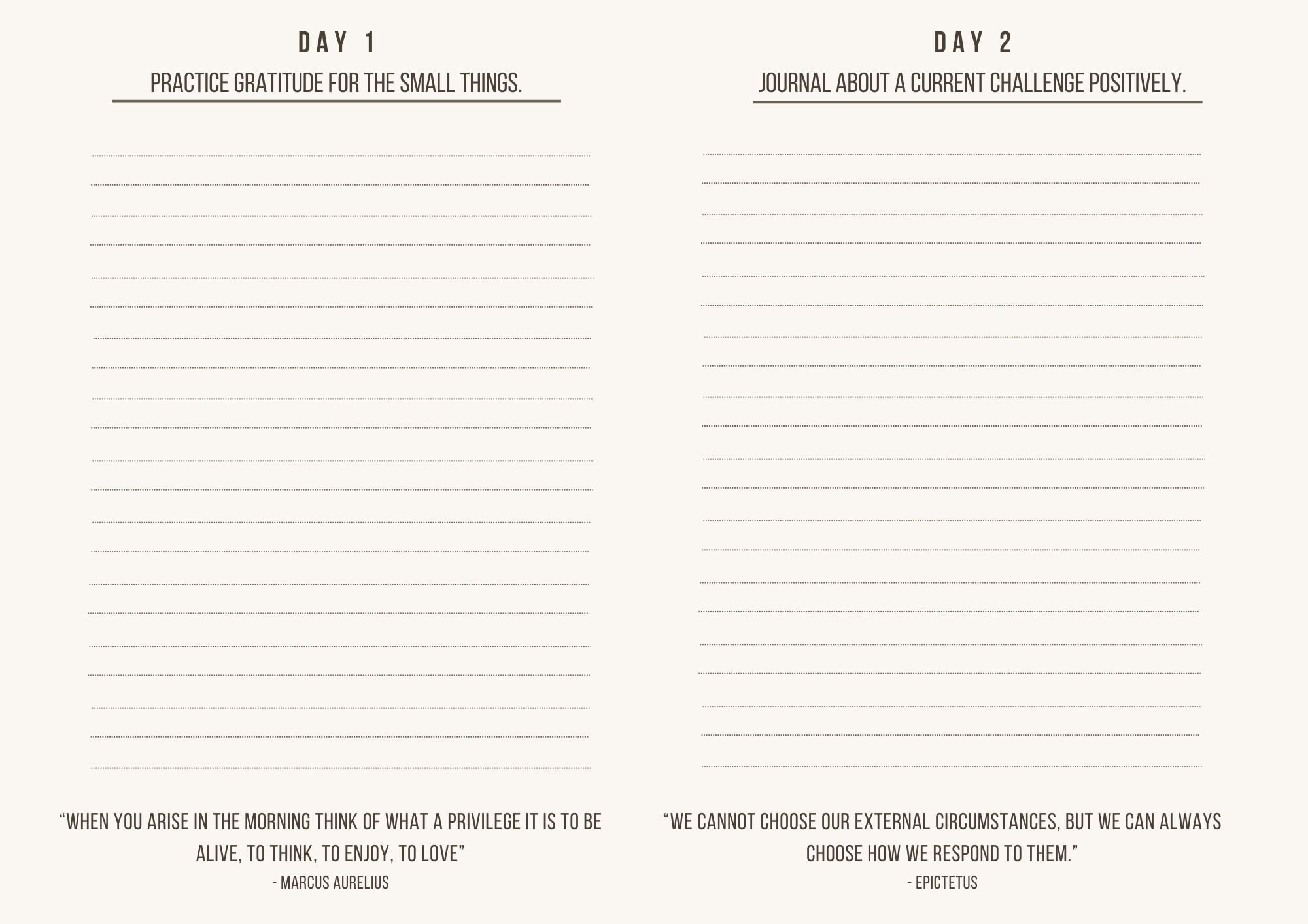 30-day Stoic Challenge Journal: Daily Meditations & Affirmations (PDF ...