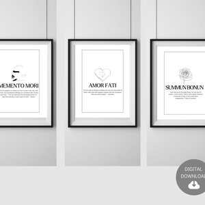 May include: Three black framed prints with white backgrounds and black line drawings. The first print says "Memento Mori" with a skull and crossbones image. The second print says "Amor Fati" with a heart image. The third print says "Summun Bonum" with a rose image. Each print has a quote underneath the image.