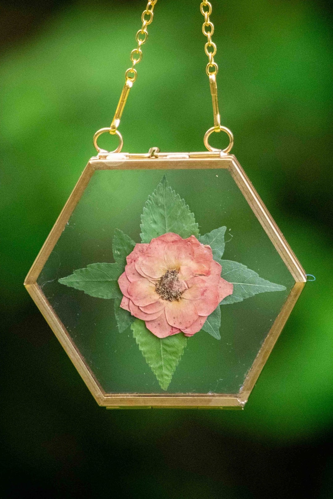 Gold Hexagon Floting Glass Frame With Dried Pressed Flowers Etsy
