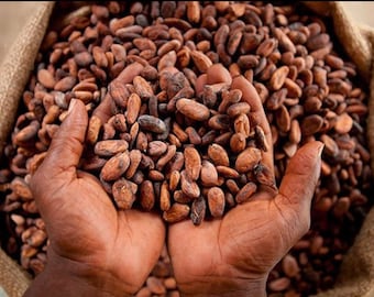 100% ORGANIC DRY CACAO Beans 1KG (Ghanaian)