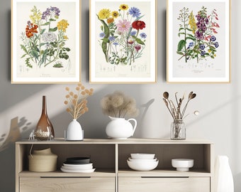 Antique Botanical Prints, Set of 3 Digital Wall Art, High Resolution, Instant Digital Download, Printable Art