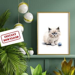 Sassy Cat Print | Ragdoll Birman Cat Kitten Wall Art | Modern ...