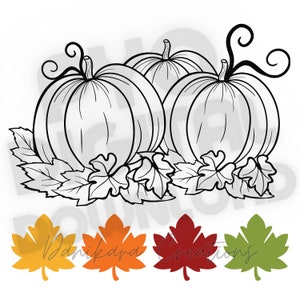 Könnte beinhalten: Schwarz-weiß-Linienzeichnung von drei Kürbissen mit Blättern. Die Kürbisse sind im Cartoon-Stil mit einem einfachen Design gezeichnet. Die Blätter sind detaillierter gezeichnet mit Adern und Stielen.