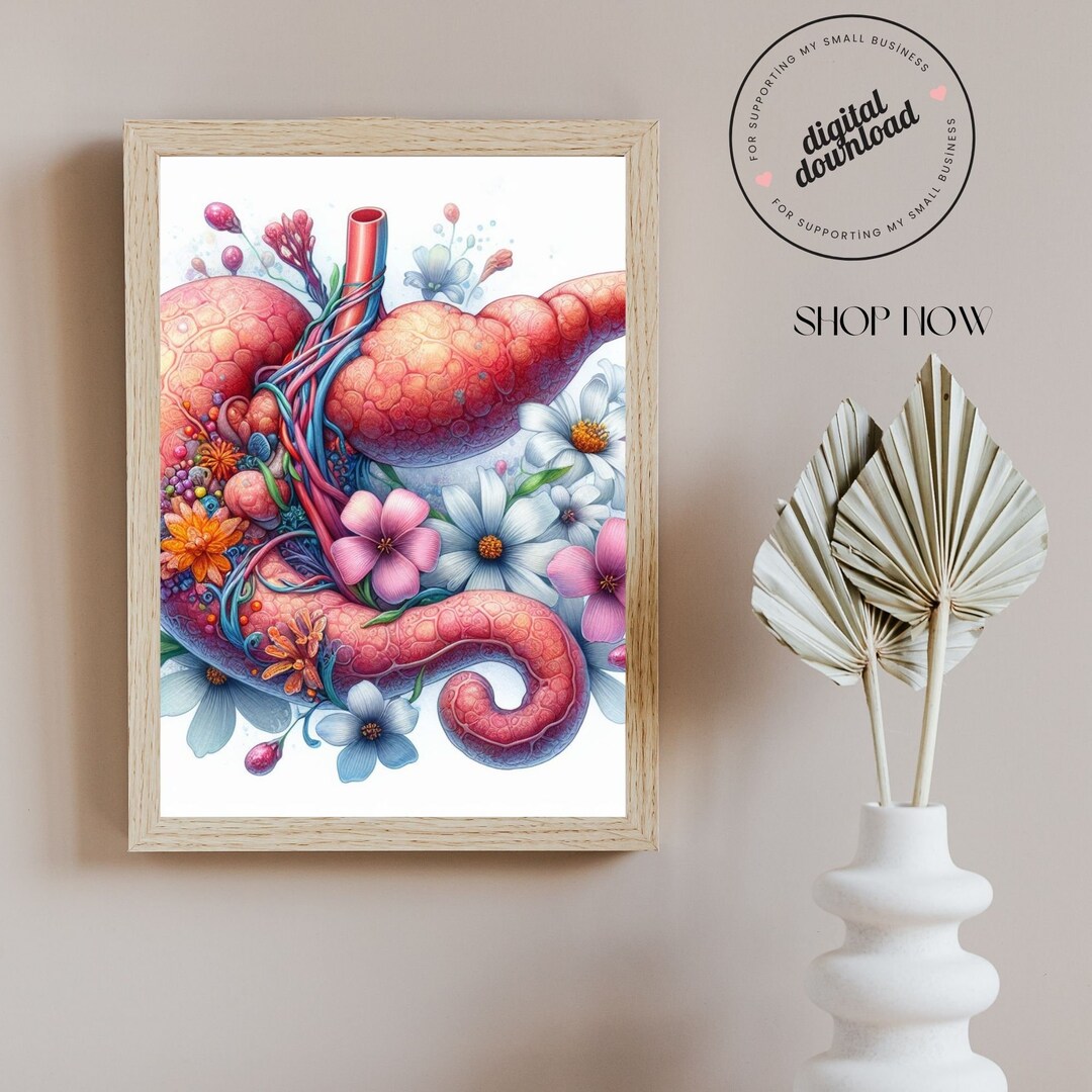 Pancreatic Anatomy Art, Decor for Medical Offices, Hepatology-themed ...