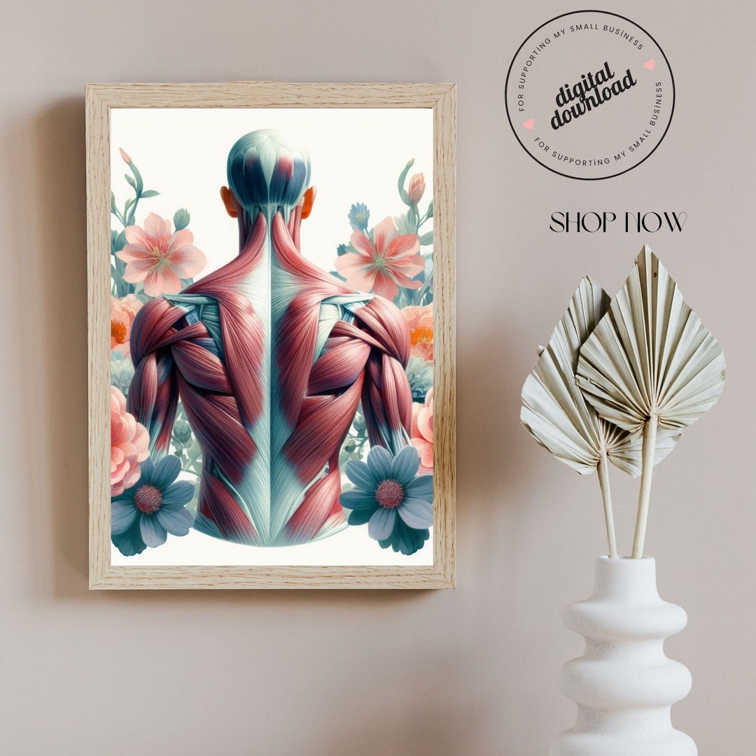 Shoulder, Back Muscles, Massage Therapist Office Wall Art, Chiropractor