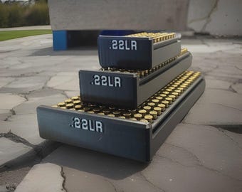 22LR Ammo Storage Box - Multiple Sizes & Colors Available
