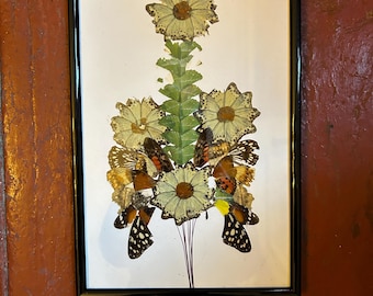 ヴィンテージミッドセンチュリーの蝶の羽のコラージュアート、鳥とヤシ