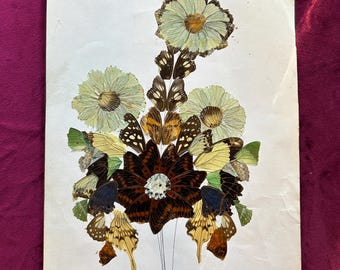 ヴィンテージミッドセンチュリーの蝶の羽のコラージュアート、鳥とヤシ